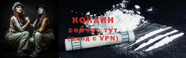 индика Верхний Тагил